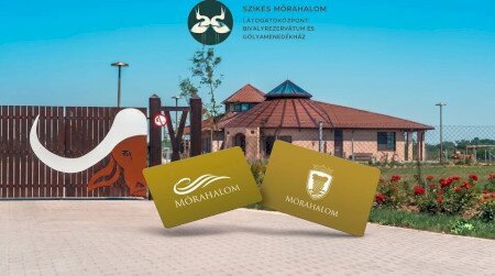 Szikes Mórahalom - Látogatóközpont, Bivalyrezervátum és Gólyamenedékház a Mórahalom Kártya elfogadóhelyei között