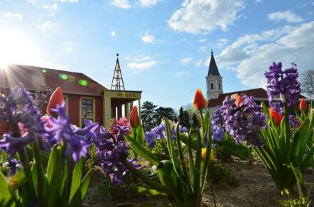 Szociális és gyermekvédelmi ügyekkel kapcsolatos információk
