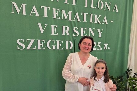 Vármegyei szinten is jól matekoznak
