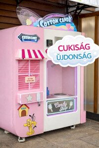 Nevet keresnek a legcukibb újdonságnak Mórahalmon, a fürdőzők dönthetnek róla