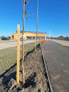 Zöldebb jövő Mórahalmon