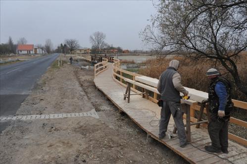 Bővül a mórahalmi bivalyrezervátum