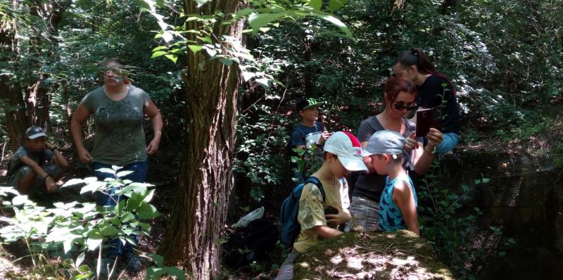 Bunkertúra a Kelebiai erdőben