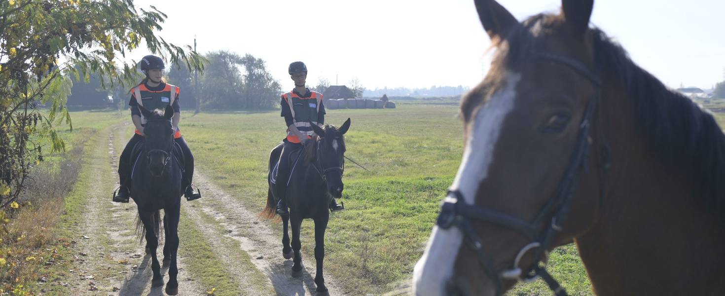 Nyeregben üldözik a bűnt Mórahalmon