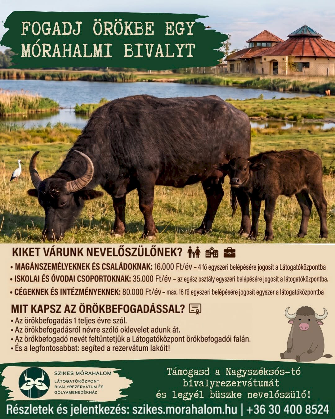 Fogadj örökbe egy bivalyt!
