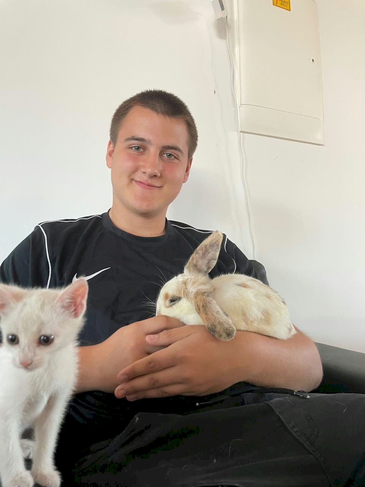 A kiscica és a nyuszi egy napra diákká vált