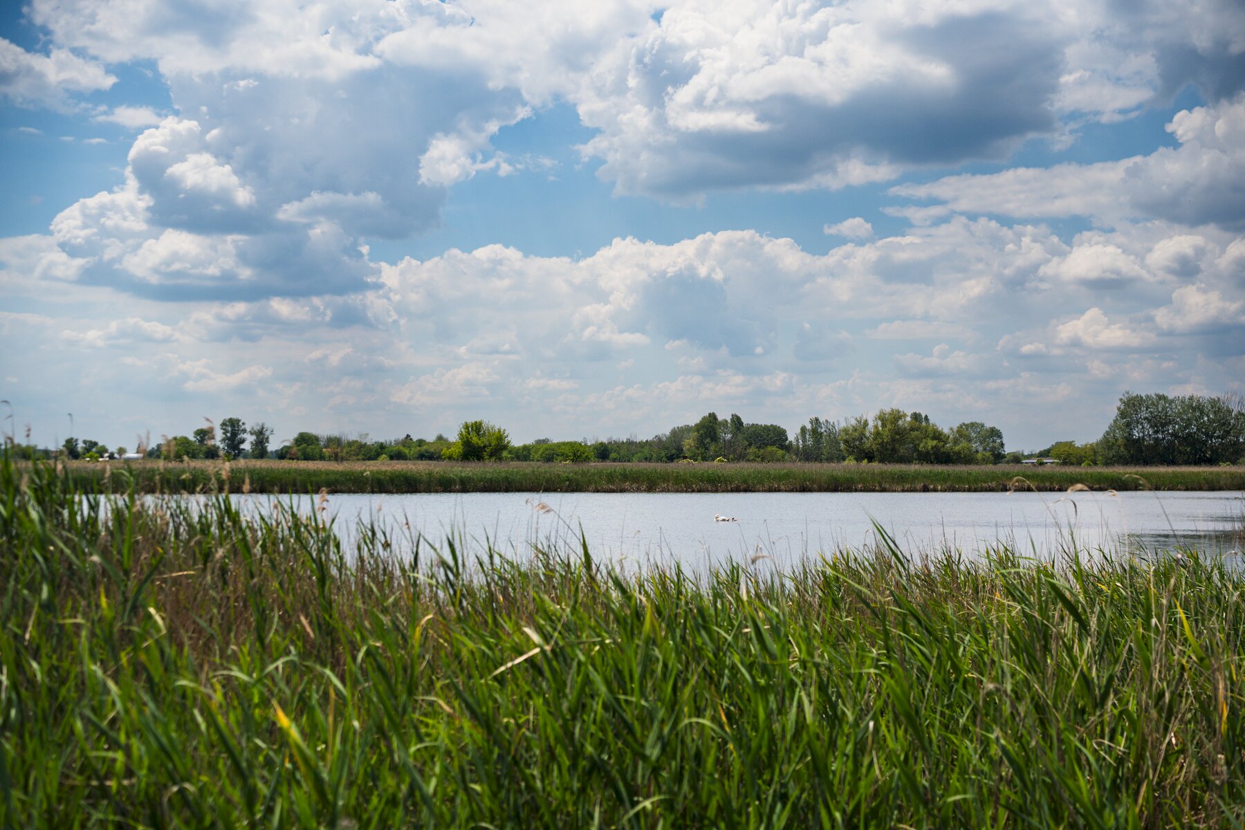 Mórahalom, Madarász-tó