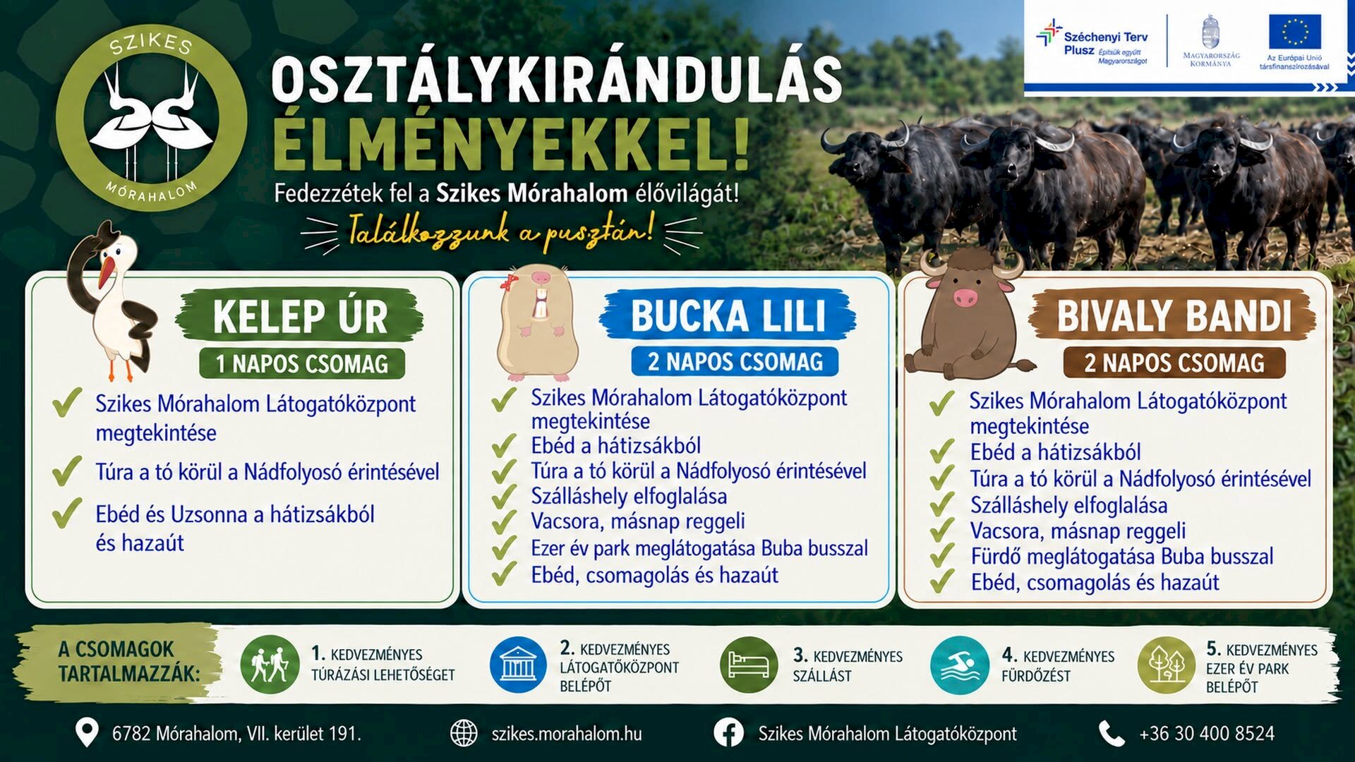 Osztálykirándulások élményekkel!